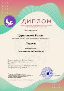 Интеллект будущего, ОГЭ информатика, лауреат, Циримпилов Роман_page-0001